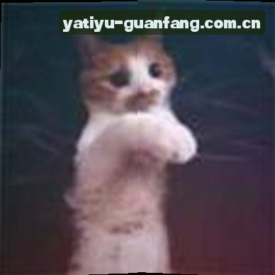 王轩
